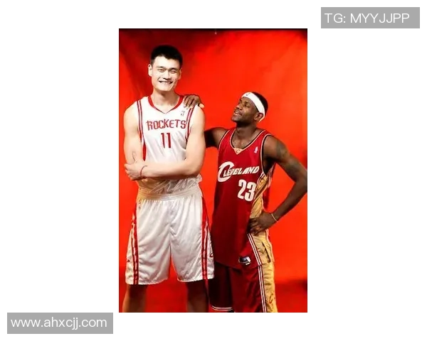 姚明詹韦时代的篮球传奇与中国篮球的崛起之路探讨