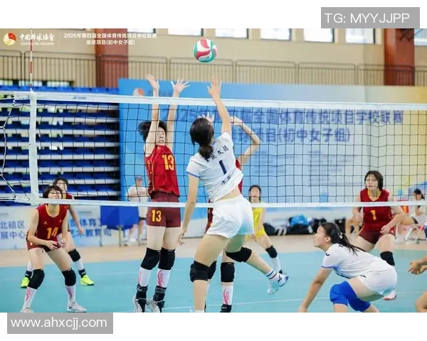 赵军独家分享排球心得与技巧助你提升技术水平和比赛表现